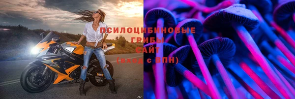 твердый Коряжма