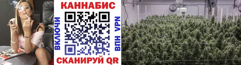 KRAKEN зеркало  Фролово  Бошки Шишки Ganja 